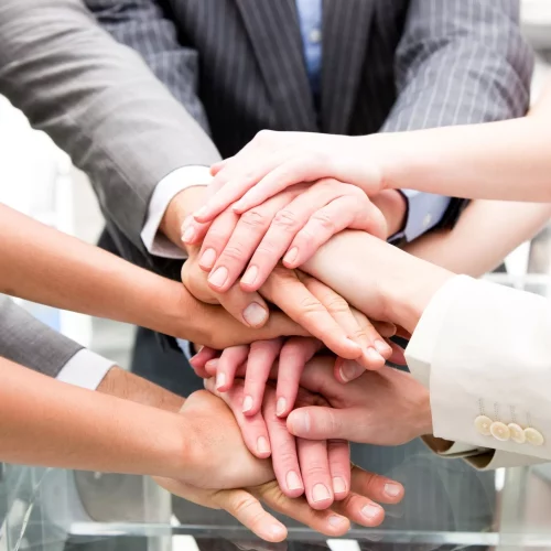 Brand Identity & Positioning